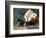 Red Panda Xia-Tschung-Mao Feeds on Bamboo-null-Framed Photographic Print