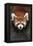 Red Panda-DLILLC-Framed Premier Image Canvas