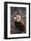 Red Panda-DLILLC-Framed Photographic Print