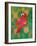 Red parrot, 2021, (oil on canvas)-Jane Tattersfield-Framed Giclee Print