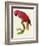 Red Parrot-Jacques Barraband-Framed Giclee Print