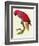 Red Parrot-Jacques Barraband-Framed Giclee Print