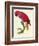 Red Parrot-Jacques Barraband-Framed Giclee Print