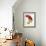 Red Parrot-Jacques Barraband-Framed Giclee Print displayed on a wall