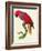 Red Parrot-Jacques Barraband-Framed Giclee Print