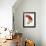 Red Parrot-Jacques Barraband-Framed Giclee Print displayed on a wall