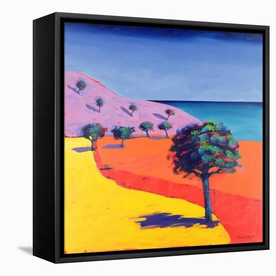 Red Path-Paul Powis-Framed Premier Image Canvas