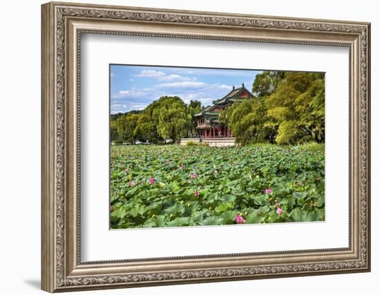 Red Pavilion Lotus Pads Garden Summer Palace Park, Beijing, China Willow Green Trees-William Perry-Framed Photographic Print