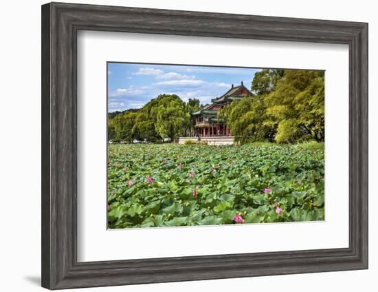 Red Pavilion Lotus Pads Garden Summer Palace Park, Beijing, China Willow Green Trees-William Perry-Framed Photographic Print