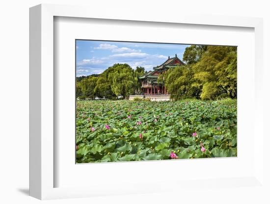 Red Pavilion Lotus Pads Garden Summer Palace Park, Beijing, China Willow Green Trees-William Perry-Framed Photographic Print