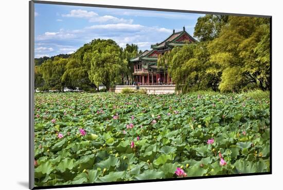 Red Pavilion Lotus Pads Garden Summer Palace Park, Beijing, China Willow Green Trees-William Perry-Mounted Photographic Print