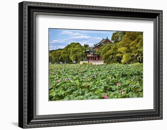 Red Pavilion Lotus Pads Garden Summer Palace Park, Beijing, China Willow Green Trees-William Perry-Framed Photographic Print