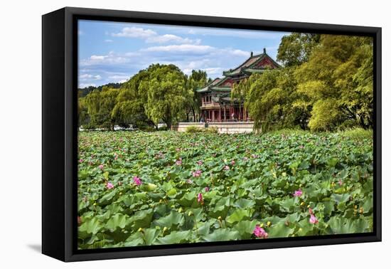 Red Pavilion Lotus Pads Garden Summer Palace Park, Beijing, China Willow Green Trees-William Perry-Framed Premier Image Canvas