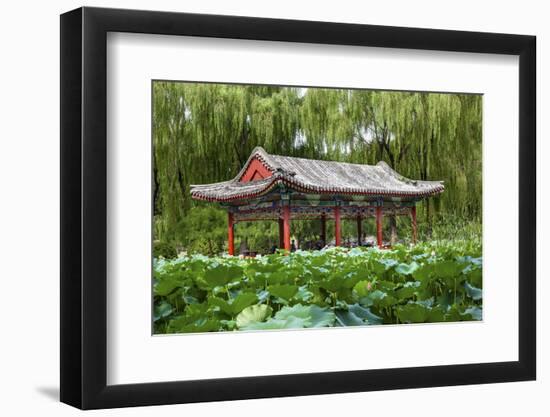 Red Pavilion Lotus Pads Garden Temple of Sun City Park, Beijing, China Willow Green Trees-William Perry-Framed Photographic Print