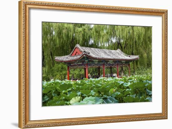 Red Pavilion Lotus Pads Garden Temple of Sun City Park, Beijing, China Willow Green Trees-William Perry-Framed Photographic Print