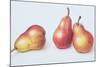 Red Pears, 1996-Margaret Ann Eden-Mounted Giclee Print