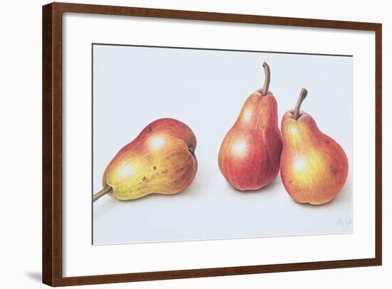 Red Pears, 1996-Margaret Ann Eden-Framed Giclee Print