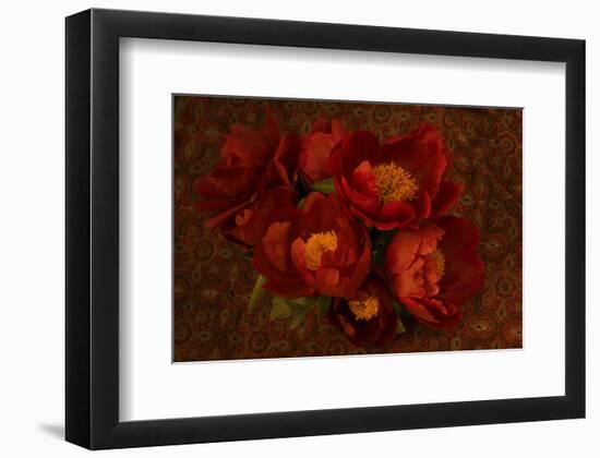 Red Peonies I-Judy Stalus-Framed Art Print