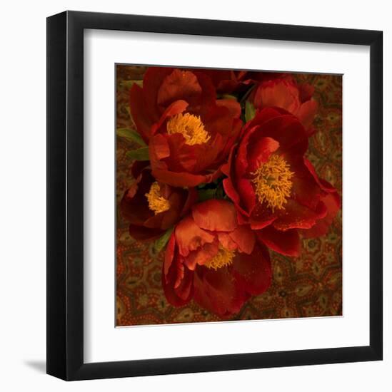 Red Peonies II-Judy Stalus-Framed Art Print