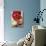 Red Peonies-Sebastian Vogt-Mounted Photographic Print displayed on a wall