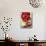 Red Peonies-Sebastian Vogt-Mounted Photographic Print displayed on a wall