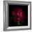 Red Peony 1-Magda Indigo-Framed Photographic Print