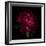 Red Peony 1-Magda Indigo-Framed Photographic Print