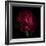 Red Peony 1-Magda Indigo-Framed Photographic Print