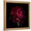 Red Peony 1-Magda Indigo-Framed Stretched Canvas