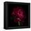 Red Peony 1-Magda Indigo-Framed Stretched Canvas