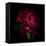 Red Peony 1-Magda Indigo-Framed Stretched Canvas