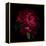 Red Peony 1-Magda Indigo-Framed Stretched Canvas