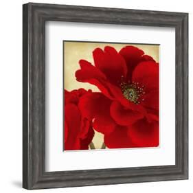 Red Peony I-Linda Wood-Framed Art Print