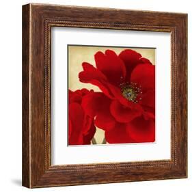 Red Peony I-Linda Wood-Framed Art Print