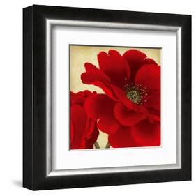 Red Peony I-Linda Wood-Framed Art Print