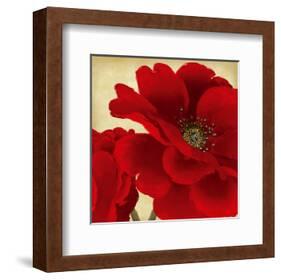 Red Peony I-Linda Wood-Framed Art Print