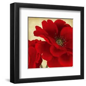 Red Peony I-Linda Wood-Framed Art Print