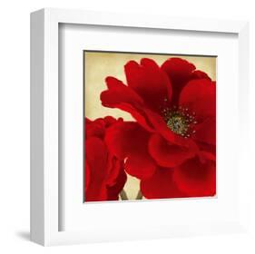 Red Peony I-Linda Wood-Framed Art Print