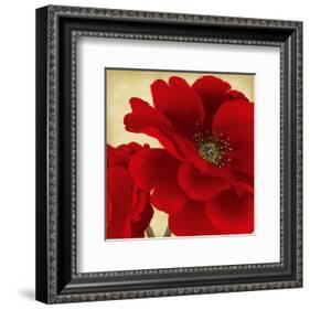 Red Peony I-Linda Wood-Framed Art Print