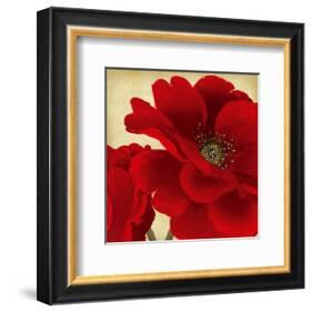 Red Peony I-Linda Wood-Framed Art Print