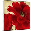 Red Peony I-Linda Wood-Mounted Art Print