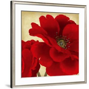 Red Peony I-Linda Wood-Framed Art Print
