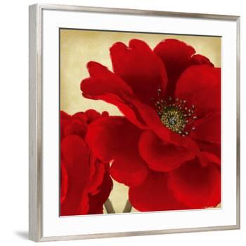 Red Peony I-Linda Wood-Framed Art Print