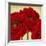 Red Peony II-Linda Wood-Framed Art Print