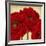 Red Peony II-Linda Wood-Framed Art Print