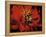Red Peony II-Christine Zalewski-Framed Stretched Canvas