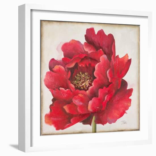 Red Peony-Patricia Pinto-Framed Art Print