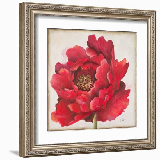 Red Peony-Patricia Pinto-Framed Art Print