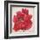 Red Peony-Patricia Pinto-Framed Art Print