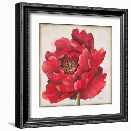 Red Peony-Patricia Pinto-Framed Art Print